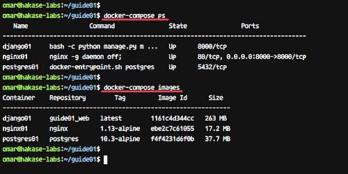 Docker,Python,Django,應用程序