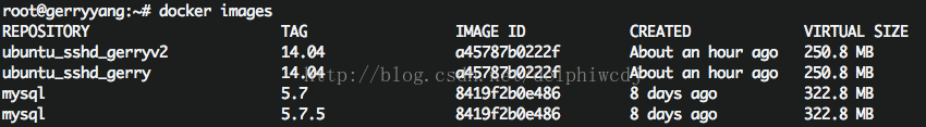 SSH,Docker,鏡像