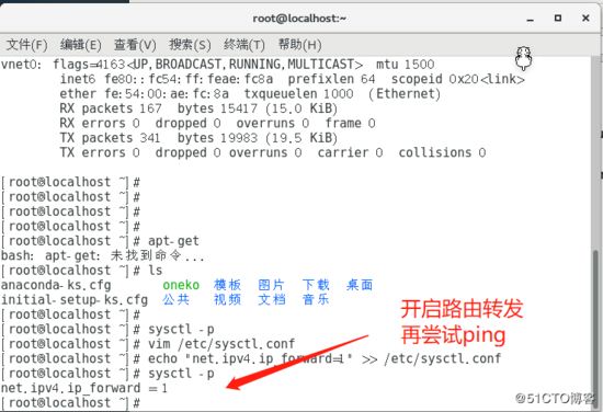 Docker,容器,內網,獨立IP