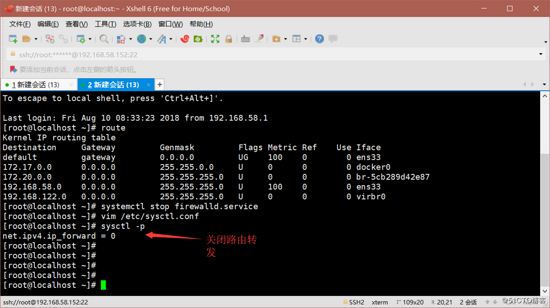 Docker,容器,內網,獨立IP