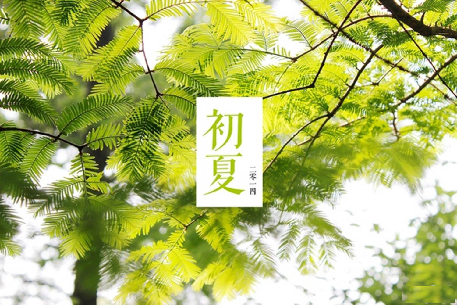 超全面教程！給照片添加文字有哪10個高大上的方法？