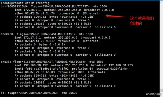 Docker,容器,內網,獨立IP
