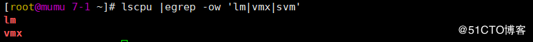 kvm,虛擬機,WordPress