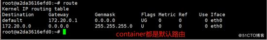 Docker,容器,內網,獨立IP