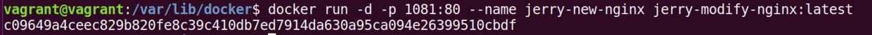 Docker,鏡像,提交命令,commit
