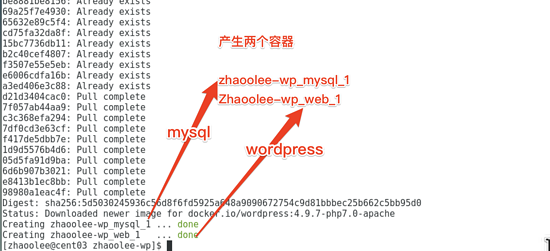 docker,一鍵安裝,wordpress