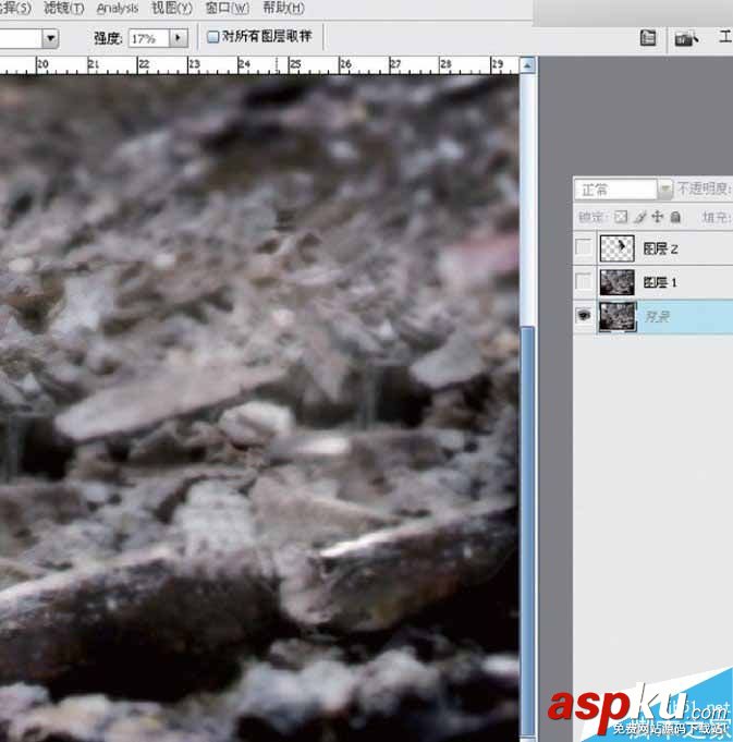 Photoshop,物體,照片