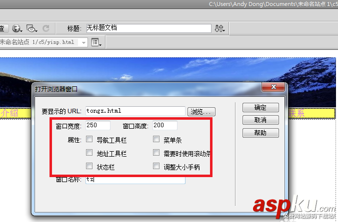 Dreamweaver,網頁,窗口