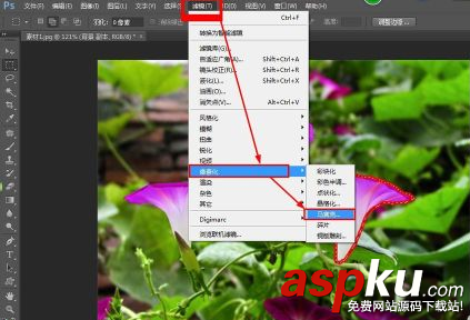 ps,馬賽克,圖片