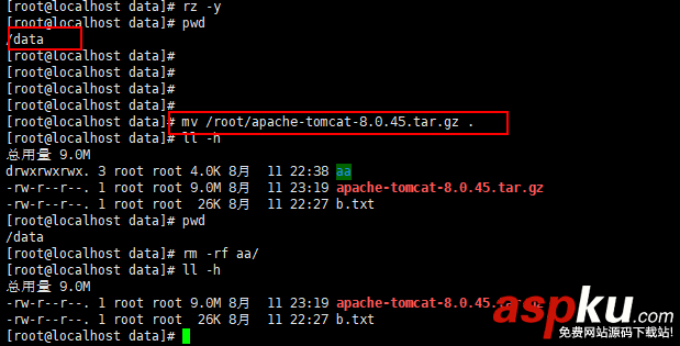 Linux,安裝JDK,安裝,Tomcat,MySQL
