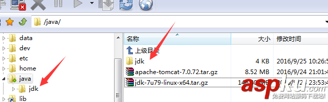 Linux,服務器,JDK
