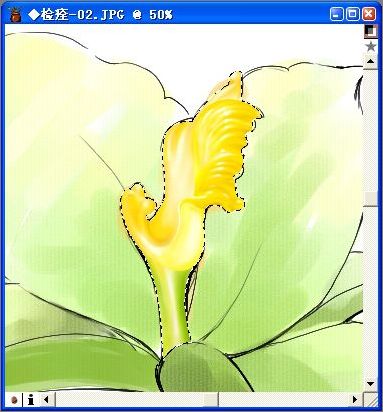 用painter與數碼板繪制逼真百合花