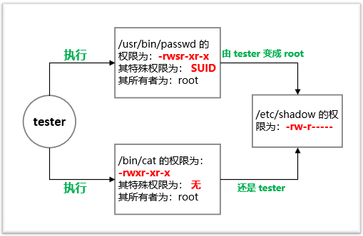 Linux,特殊權限,SUID,SGID,SBIT