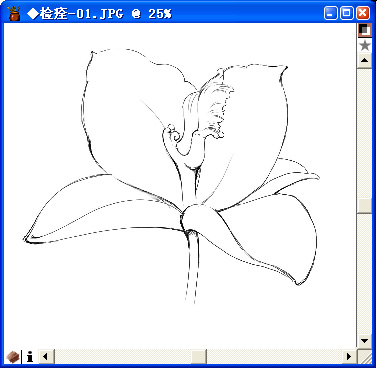 用painter與數碼板繪制百合花（圖六）