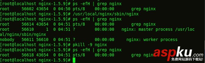 linux下安裝nginx,linux,yum安裝nginx,nginx,安裝