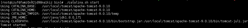 Linux,CentOS,Tomcat9,web項目