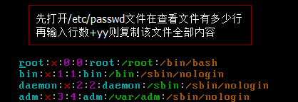 linux,vi編輯器