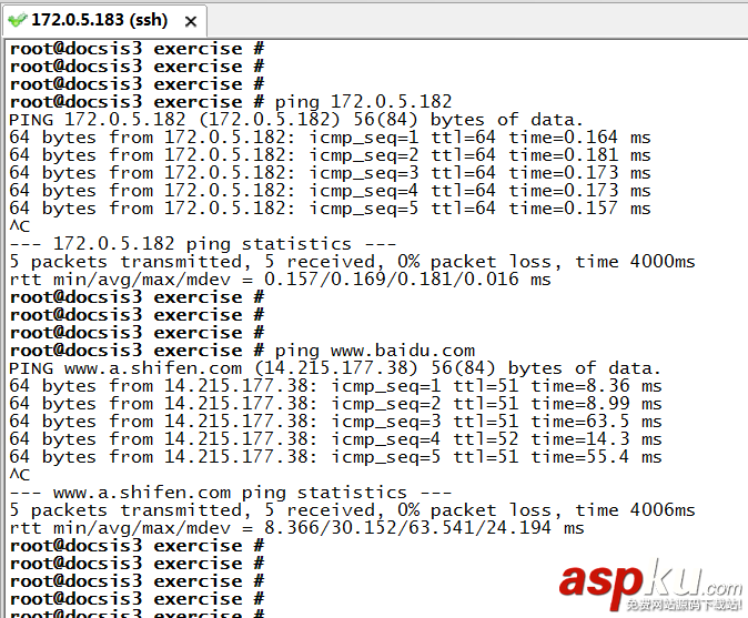 Linux,PING,編程