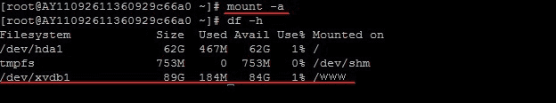linux系統,掛載數據盤