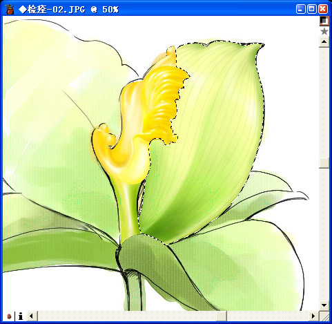 用painter與數碼板繪制百合花（圖十七）
