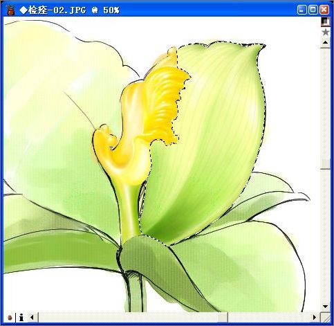 用painter與數碼板繪制逼真百合花