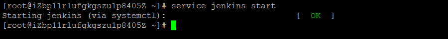 linux,安裝jenkins,linux上安裝jenkins,linux中安裝jenkins