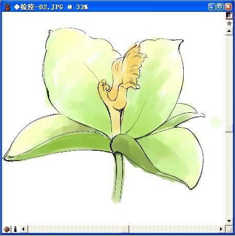 用painter與數碼板繪制逼真百合花