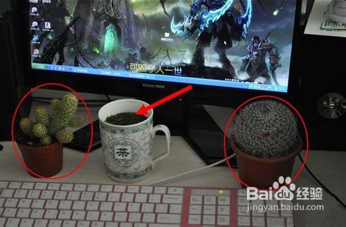 如何健康使用電腦?