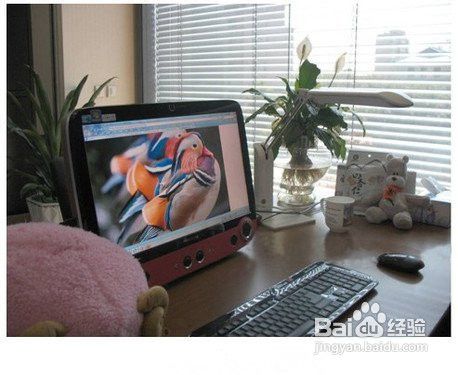 如何健康使用電腦?
