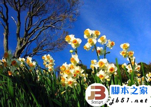 電腦族怎樣保護眼睛