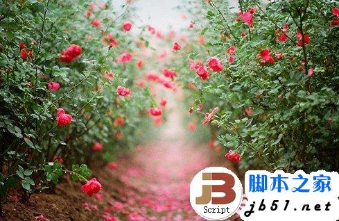 電腦族怎樣保護眼睛