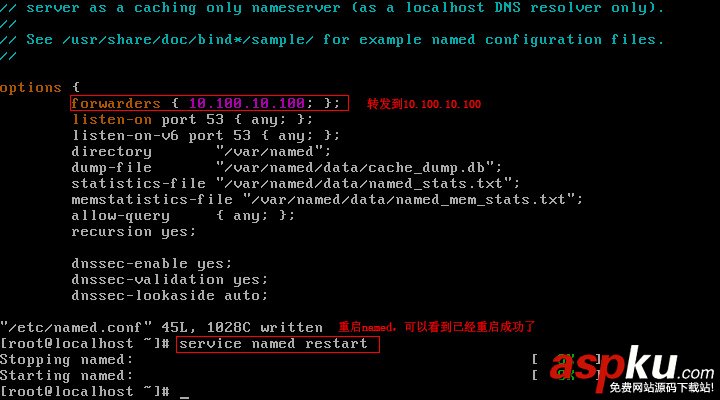 Centos,配置,DNS服務器
