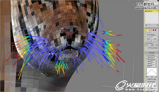 3dsmax繪制毛色亮麗視覺沖擊感強的3D老虎-Vevb.com
