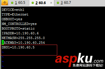 linux下dns服務器配置,dns服務配置,linux,dns設置