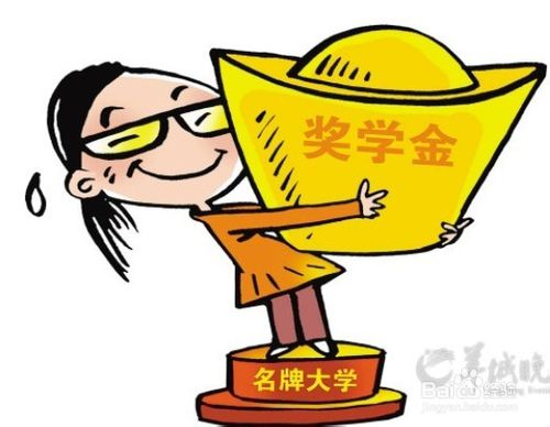 大學生,創業,項目