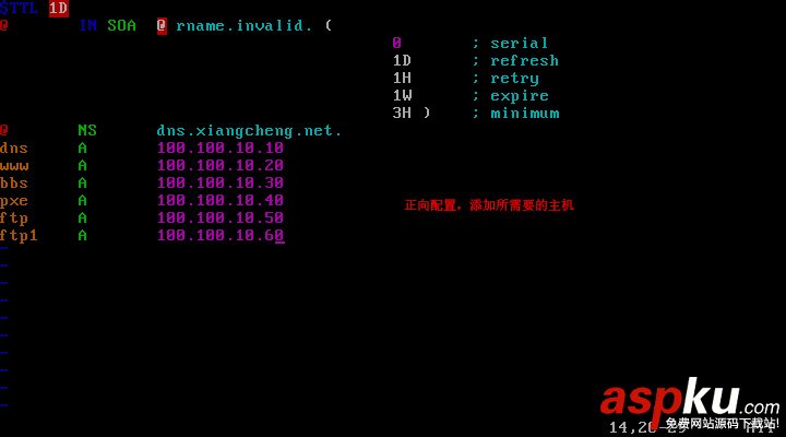 Centos,配置,DNS服務器