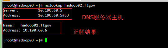 linux下dns服務器配置,dns服務配置,linux,dns設置
