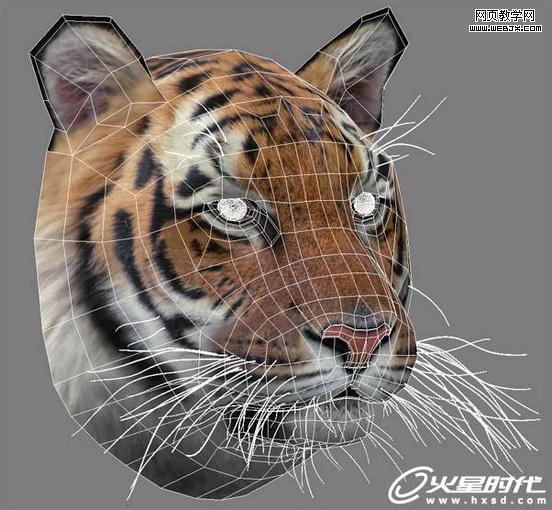 3dsmax繪制毛色亮麗視覺沖擊感強的3d老虎-VeVb.com