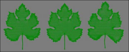 3ds max教程:制作飽滿多汁葡萄_網頁設計VeVb.com整理