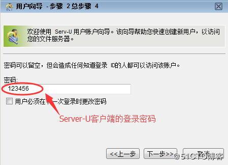 Server-U,安裝