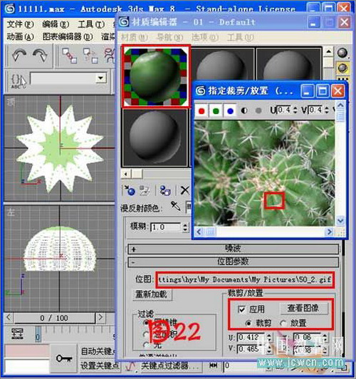 3ds max毛發修改器制作逼真仙人球