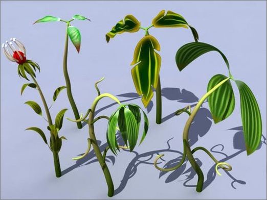 3ds max教程:制作卡通風格菜園_網頁設計VeVb.com轉載
