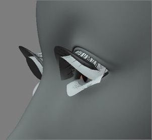 3dsmax ps制作《功夫世界》海報