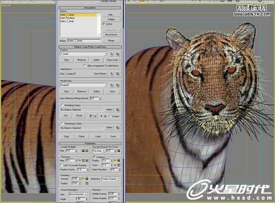3dsmax繪制毛色亮麗視覺沖擊感強的3d老虎-VeVb.com