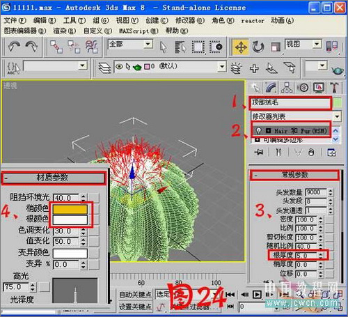 3ds max毛發修改器制作逼真仙人球