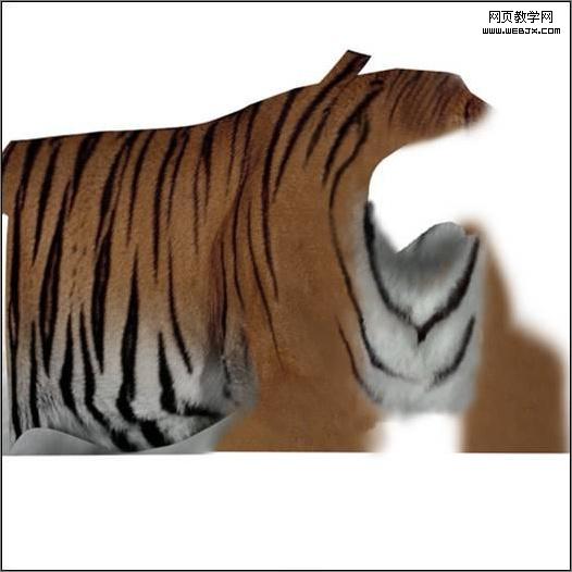 3dsmax繪制毛色亮麗視覺沖擊感強的3d老虎-VeVb.com