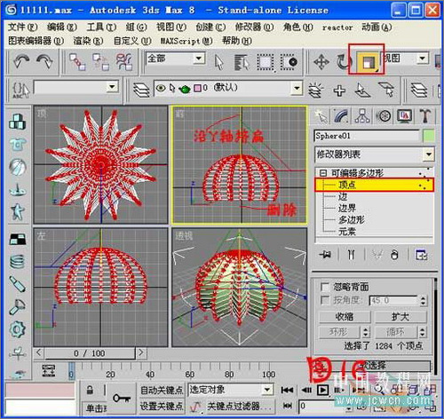 3ds max毛發修改器制作逼真仙人球