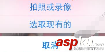 美顏相機,大頭貼,動漫大頭貼