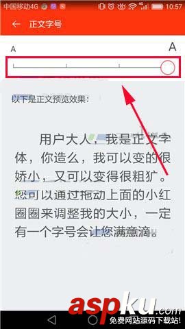 新浪新聞,字體