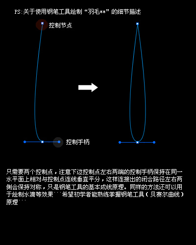 fireworks教程：繪制一把漂亮的羽毛扇_www.jcwcn.com